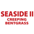 Seaside 2 logo