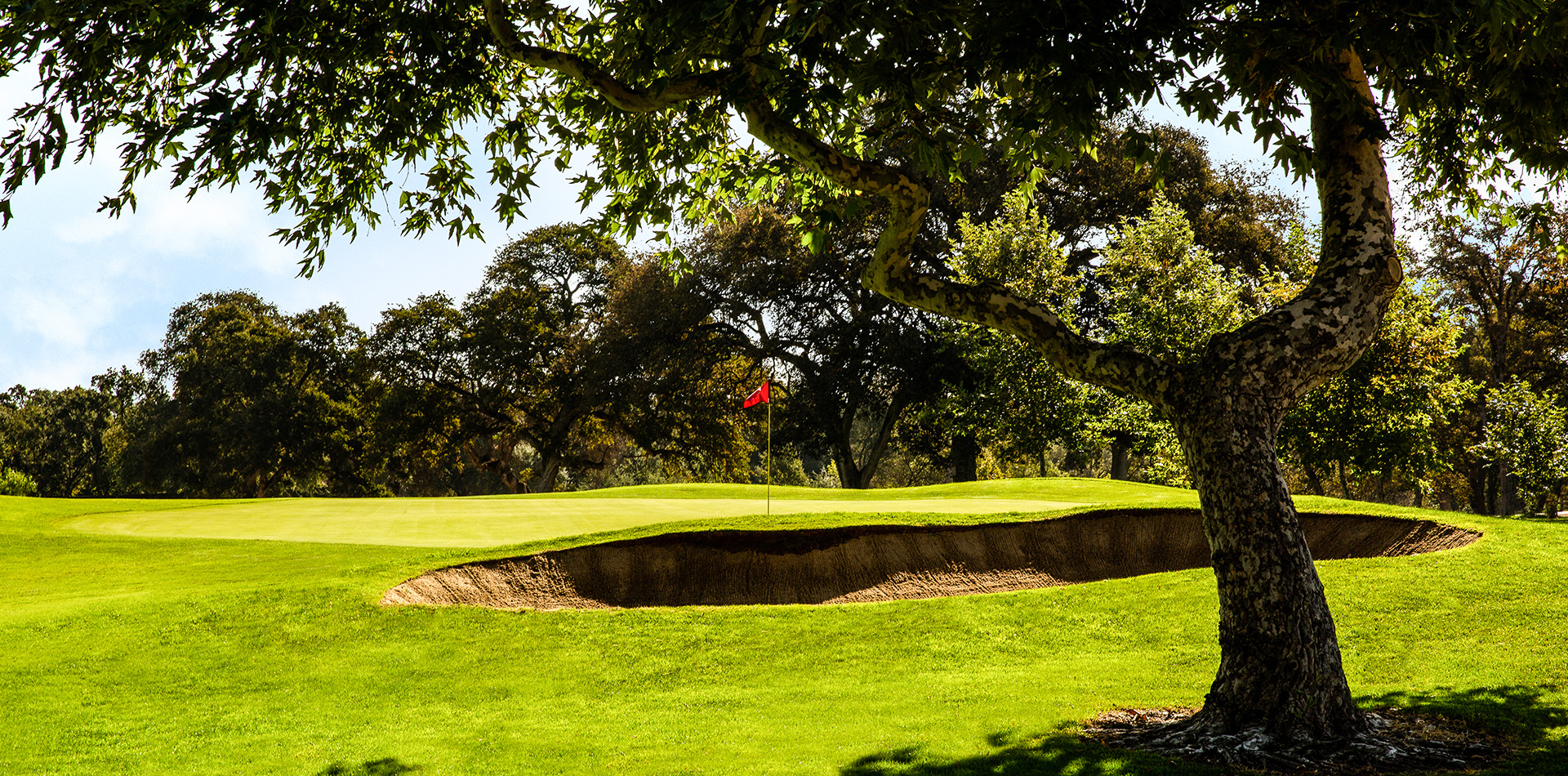 Cherry Island Golf Course Tee by Tree