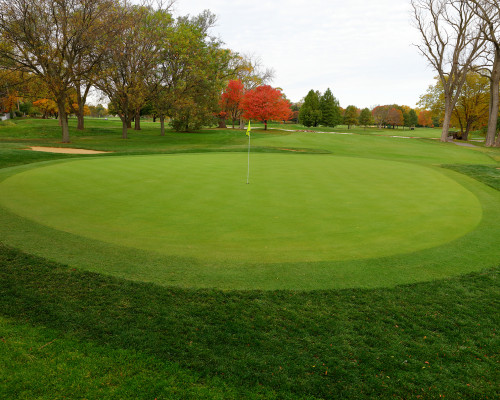 Glenview Park and Golf Club green