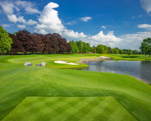 The Golf Course at Adare Manor pond