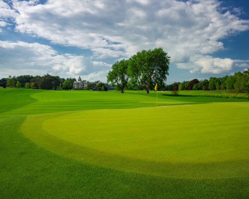 The Golf Course at Adare Manor course green