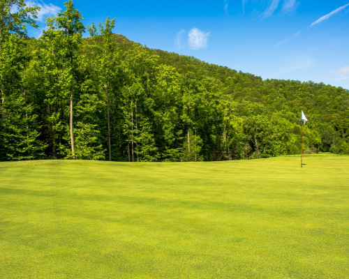 Balsam Mountain Perserve greens