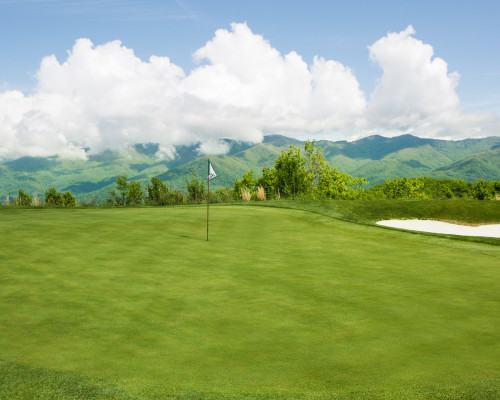 Balsam Mountain Perserve landscape and tee