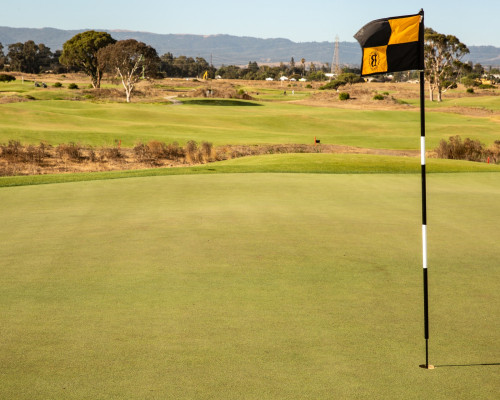 Baylands Golf Links tee close-up