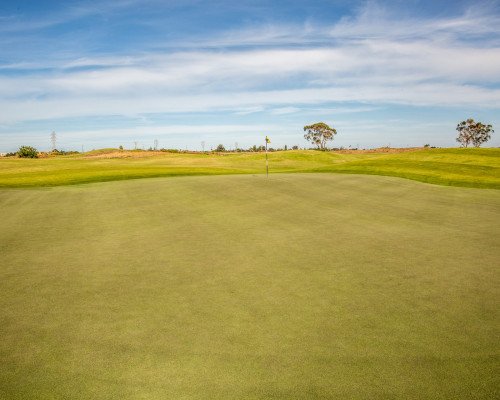 Baylands Golf Links landscape