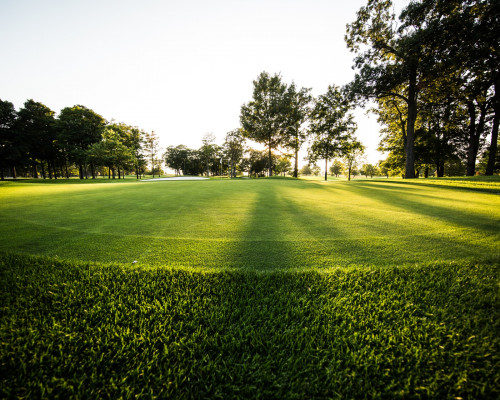 Hazeltine National Golf Club green low angle