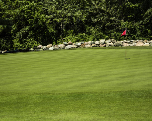 Meadowbrook Country Club stone wall background