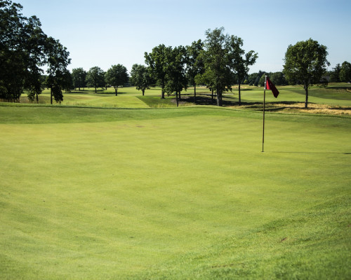 Meadowbrook Country Club green tee