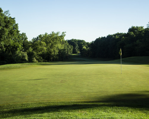 Metamora Golf and Country Club tee with treeline