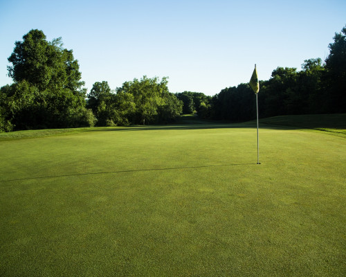 Metamora Golf and Country Club tee