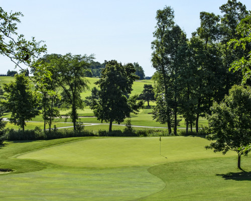 Metamora Golf and Country Club treeline