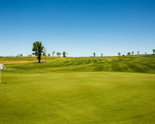 Mozingo Lake Golf Club course