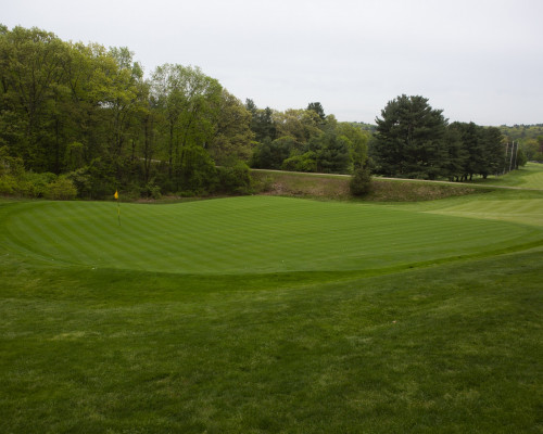 Pine Brook Country Club rough and tee