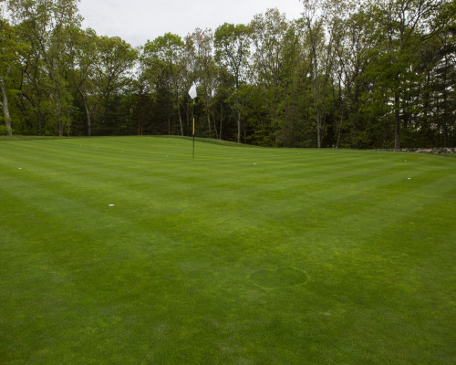 Pine Brook Country Club grass