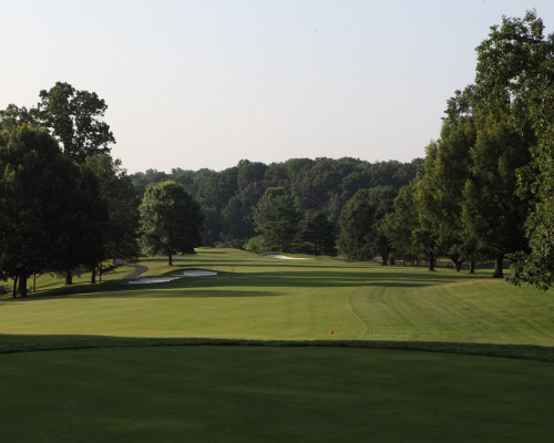 Springfield Golf and Country Club fairway