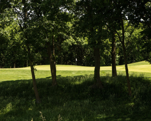 Tiffany Greens Golf Club tee with treeline