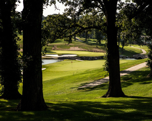 Wakonda Club treeline