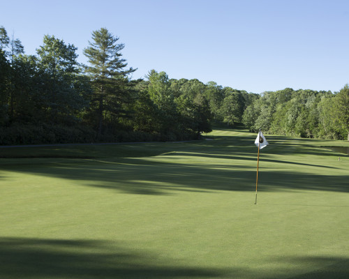 Wildcat Cliffs Country Club tee