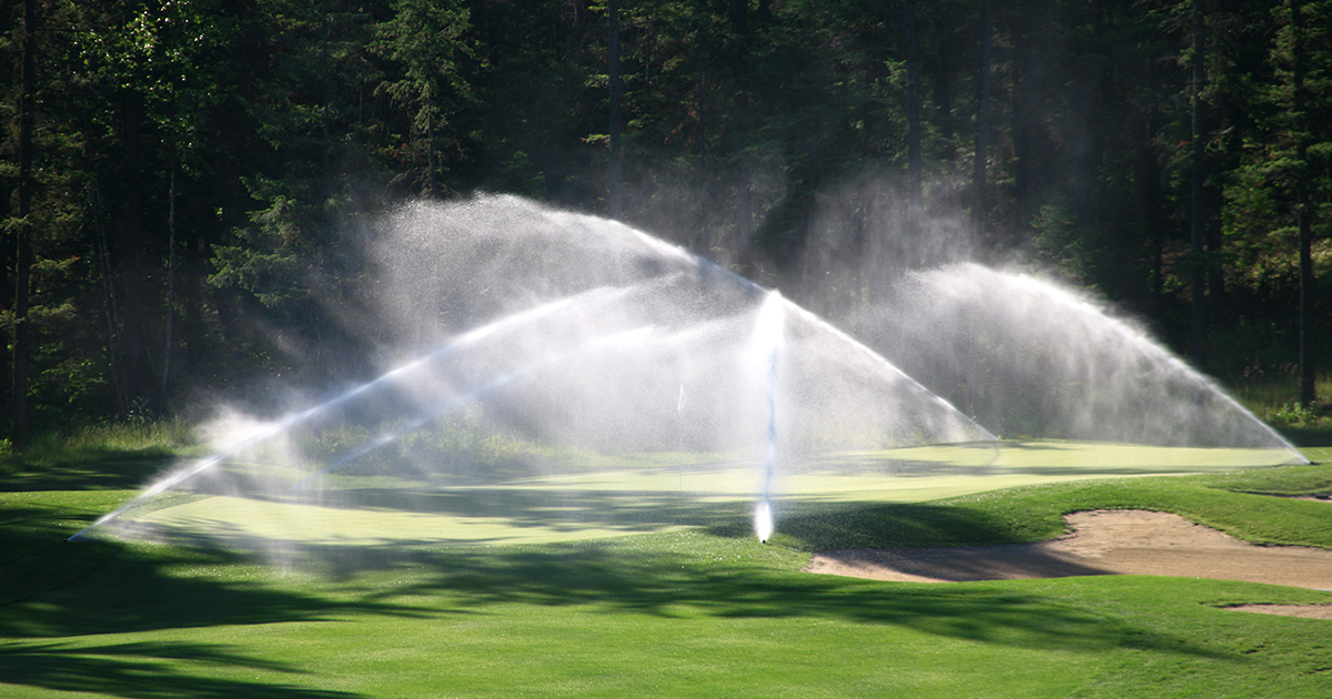 Soil Moisture Management on Golf Greens Tee2Green