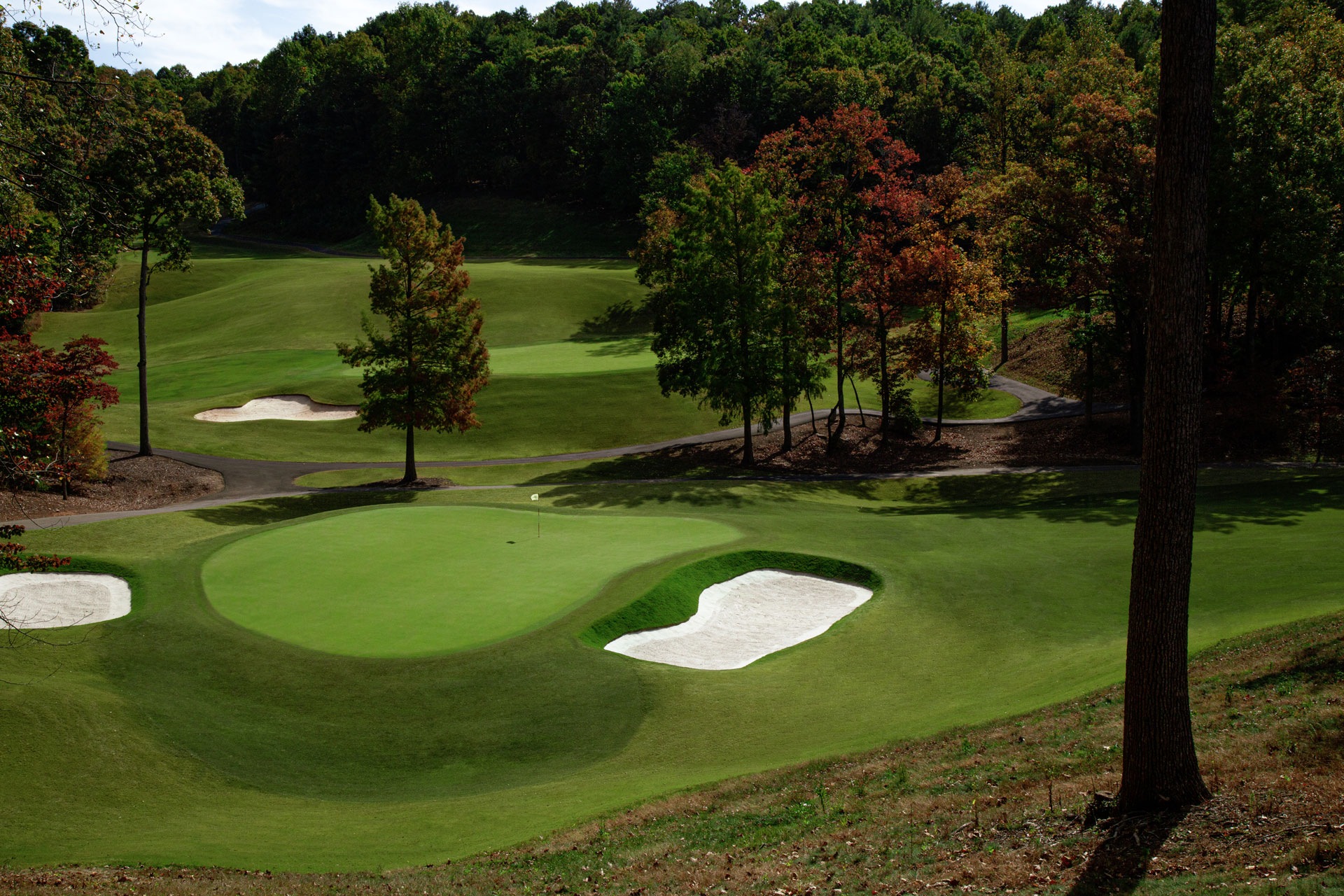 Media Gallery Tee2Green