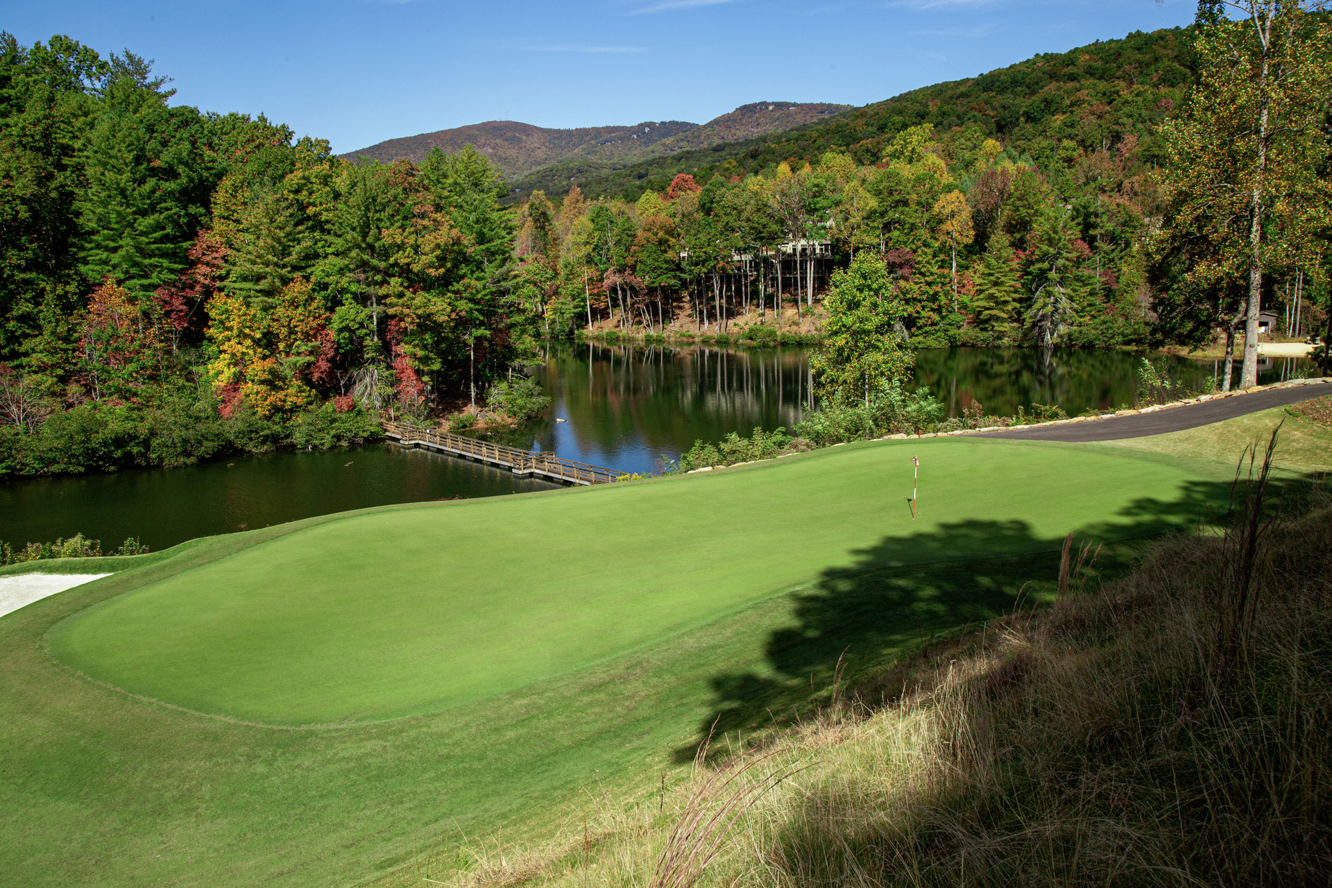 Media Gallery Tee2Green