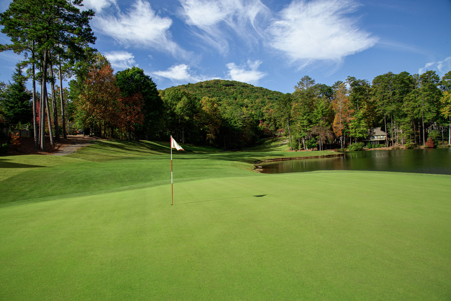 Media Gallery Tee2Green