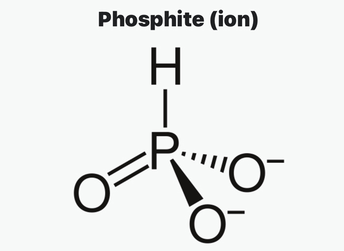 Graphic depicting a Phosphite molecule.