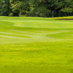 Golf course green.