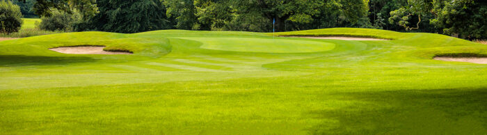 Golf course green.