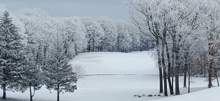 Snow on golf greens.