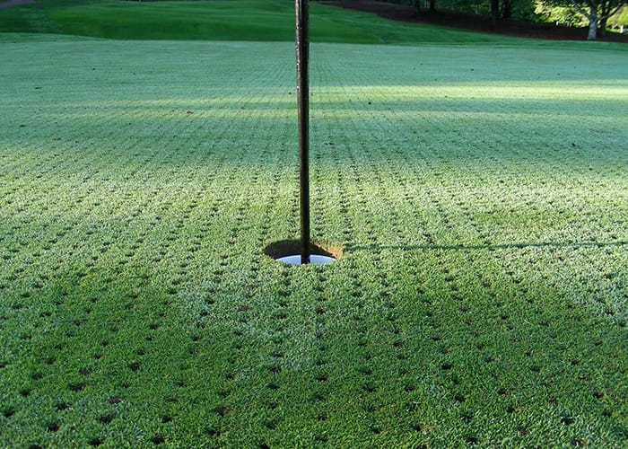 Aerated golf greens near hole. 