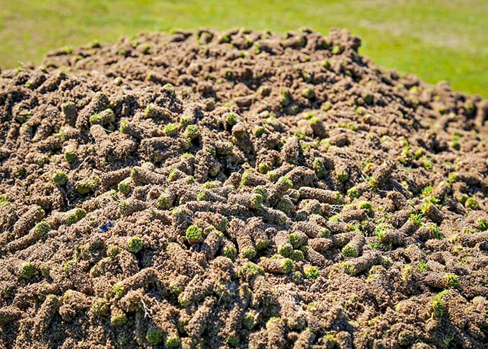 Pile of grass plugs.