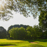 Sunlit golf course with rolling greens, sand bunkers, and large trees surrounding the fairway.