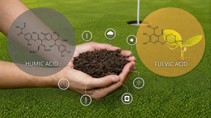 Hands holding dark soil over a golf course background with labels and chemical structures for humic acid and fulvic acid, plus icons representing plant and environmental benefits.