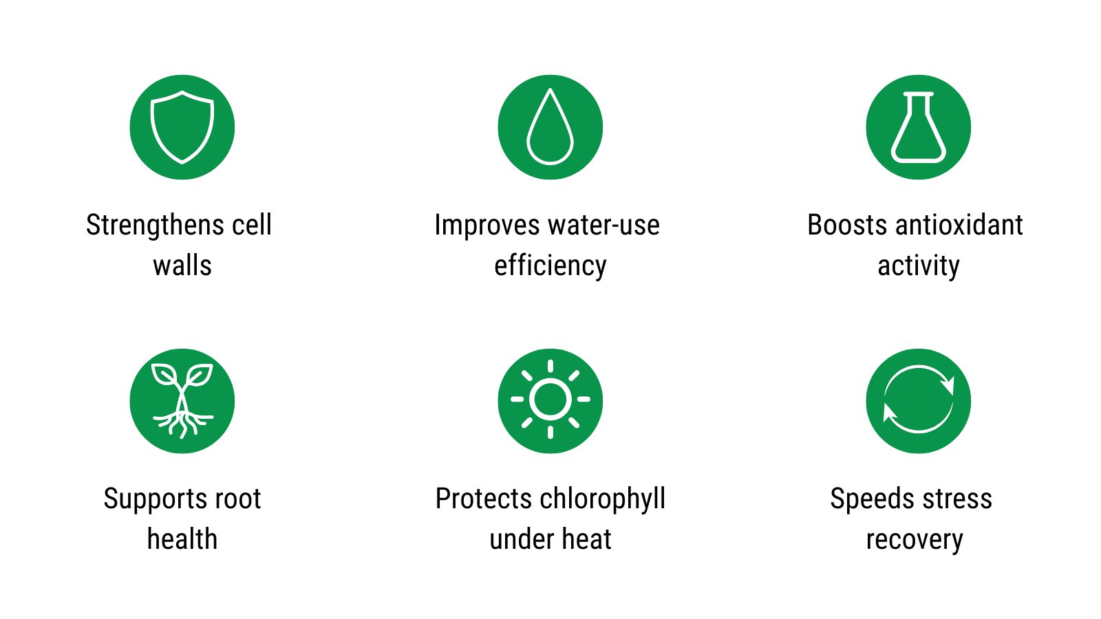 Quick Takeaway icons of benefits of Silicon