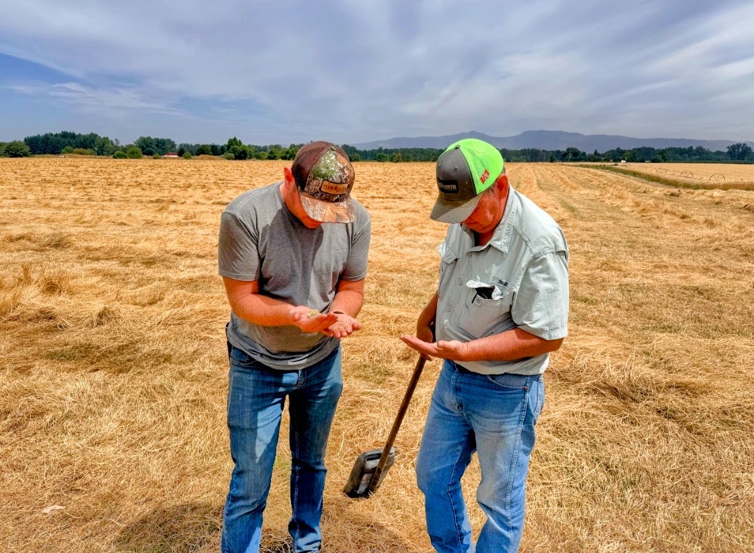 Two men examine harvested seed in their hands while standing in a golden field, with a shovel and distant mountains behind them.