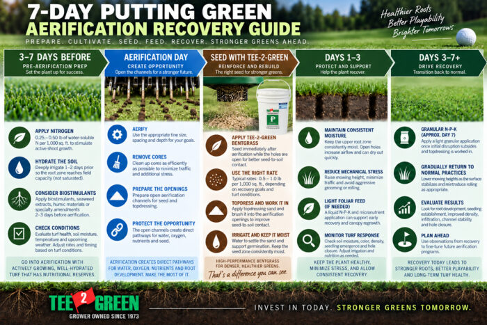 Infographic titled 7-Day Putting Green Aerification Recovery Guide outlining five stages: pre-aerification preparation, aerification day, seeding with Tee-2-Green bentgrass, days 1–3 recovery, and days 3–7+ return to normal practices. Recommendations include nitrogen application, hydration, aerifying and removing cores, seeding and topdressing, consistent moisture, reduced mechanical stress, monitoring turf response, and gradually resuming normal maintenance.